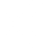 Nexus H Global